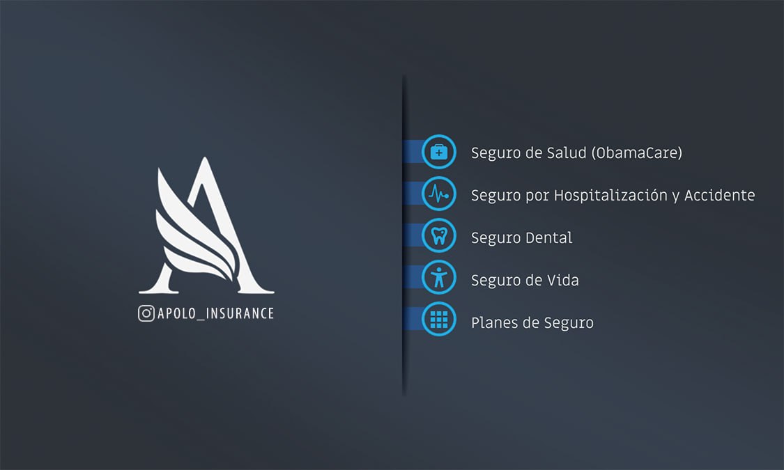 Apolo Insurance — detalle 4