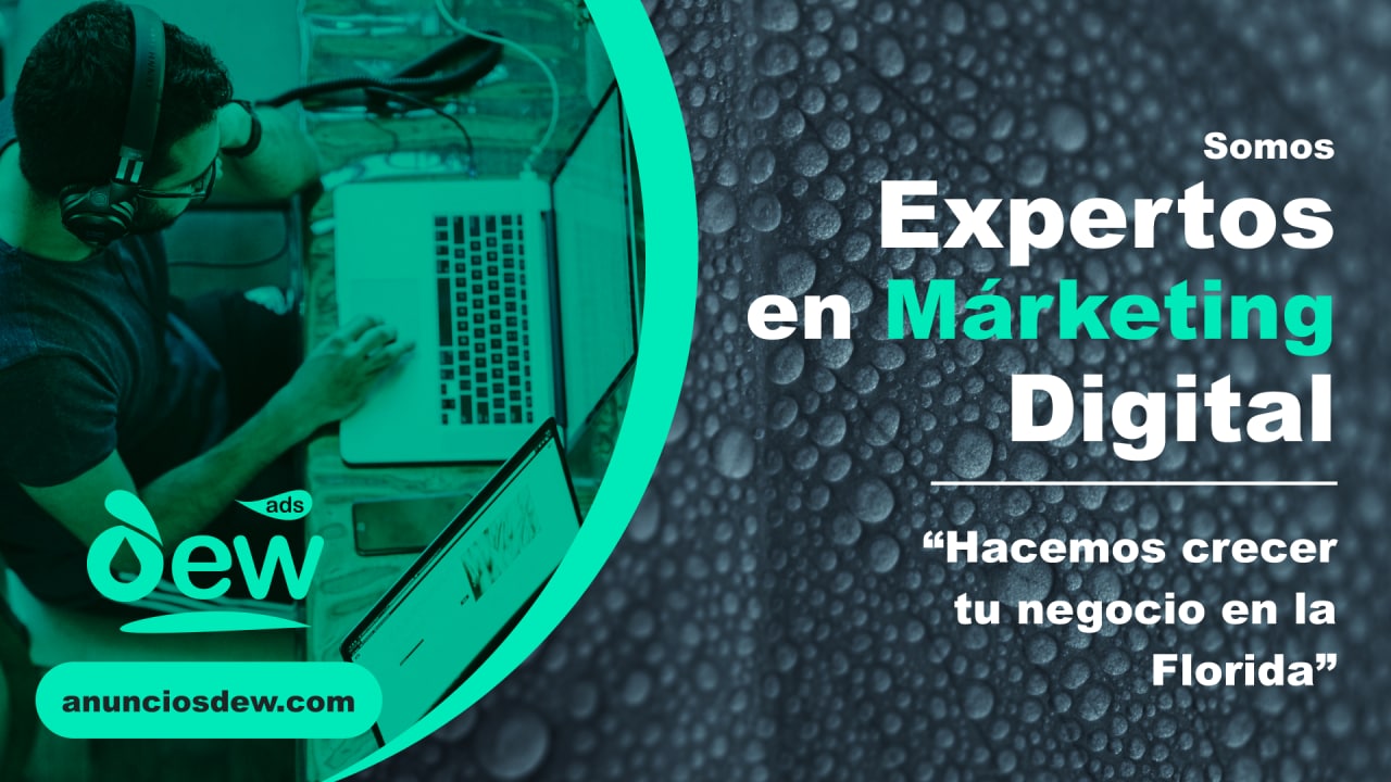 DEW Marketing — detalle 7