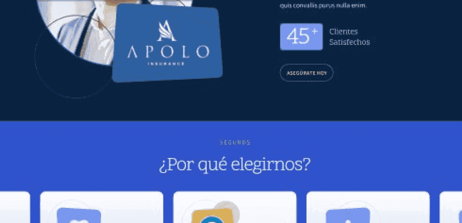 Apolo Insurance — detalle 8