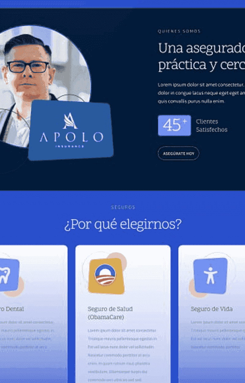 Apolo Insurance — detalle 9